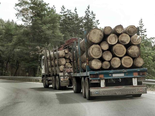 https://yourmotivatedmovers.com/wp-content/uploads/2017/08/inner_big_trucks_01-640x480.jpg